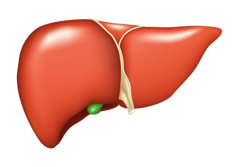 Liver Biopsy by OrangeCountySurgeons.org - 2